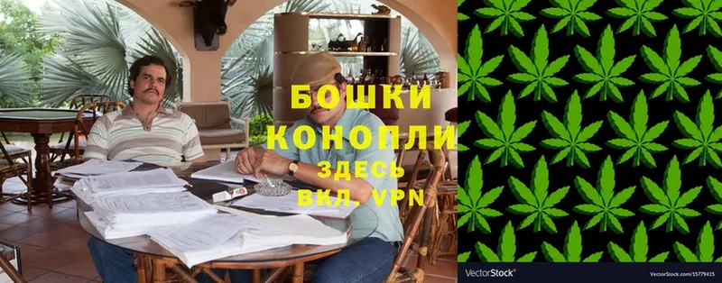 МАРИХУАНА White Widow  Жердевка 